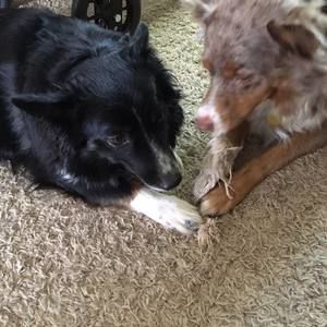 Meet your Posher, Janet