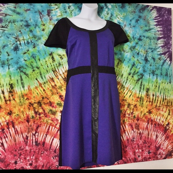 Ashley Stewart Dresses & Skirts - Color Block Dress