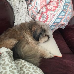 Meet your Posher, Mindy