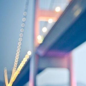 Meet your Posher, Sammy