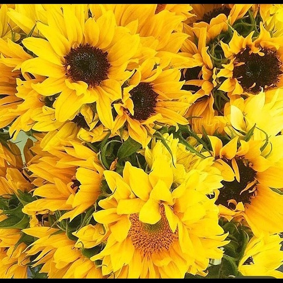 Meet your Posher, Cheryl