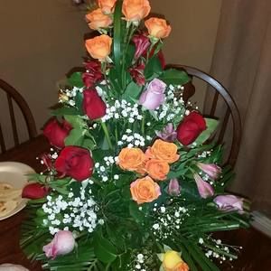 Meet your Posher, Shirley