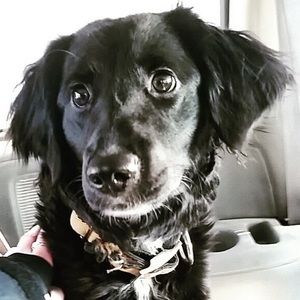 Meet your Posher, Corey