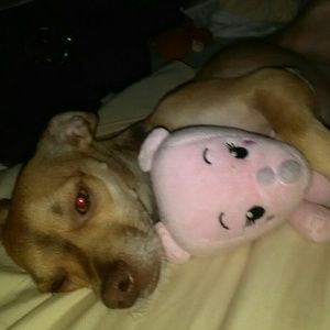 Meet your Posher, Dianna