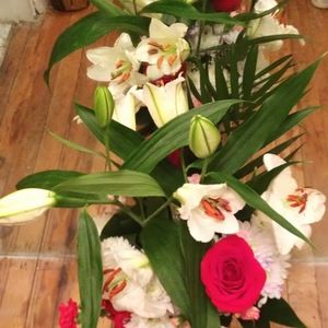 Meet your Posher, Angie