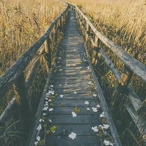 Meet your Posher, Makayla