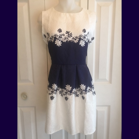 Navy & white dress