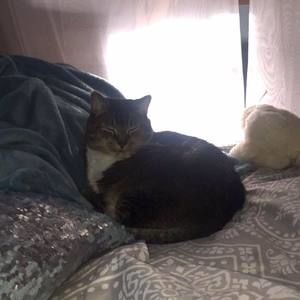 Meet your Posher, Tina