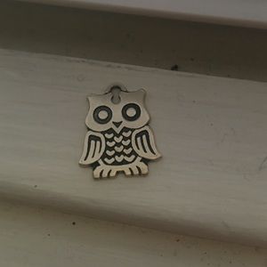 James Avery owl charm!!