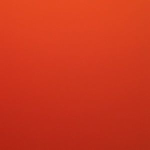 Meet your Posher, Elsa