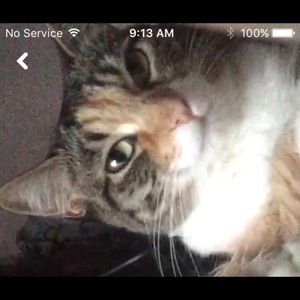 Meet your Posher, Kelly