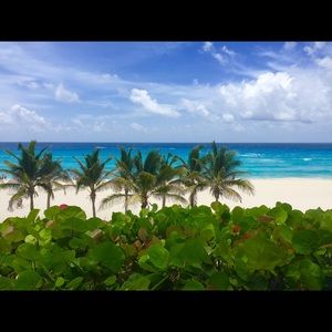 Meet your Posher, Shay