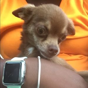 Meet your Posher, Alyssa