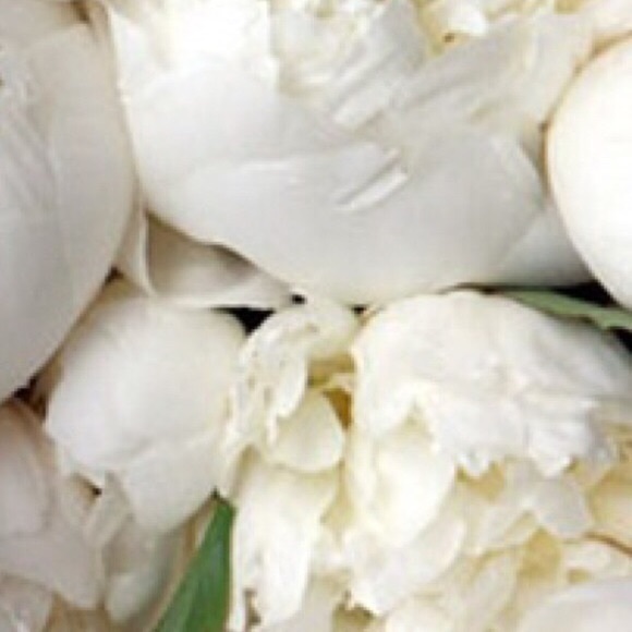 Zara Shoes - ❕shoes for kimanhdoan