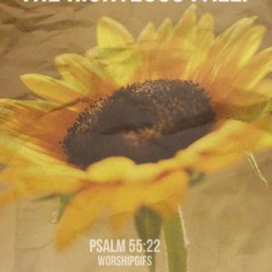 Meet your Posher, Coral