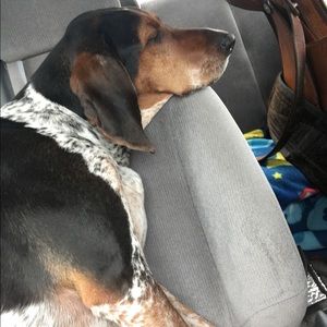 Meet your Posher, Jaime