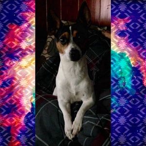 Meet your Posher, Myra