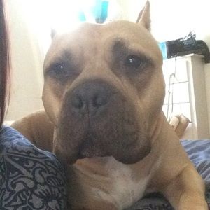 Meet your Posher, Kristyna