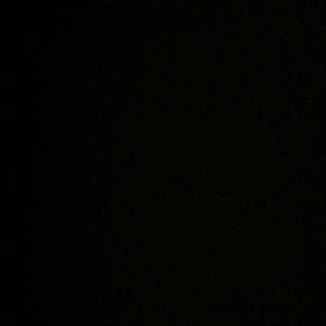 Meet your Posher, Latonya