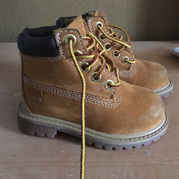 Toddler Boy's Timberland Boots