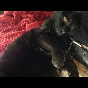 Meet your Posher, Susan