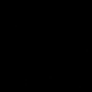 Meet your Posher, Patsy