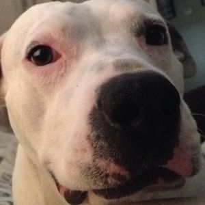 Meet your Posher, Kolleen