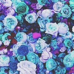 Meet your Posher, Jaidan