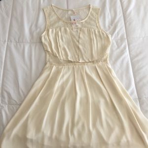 BRAND NEW Lace Skater Dress