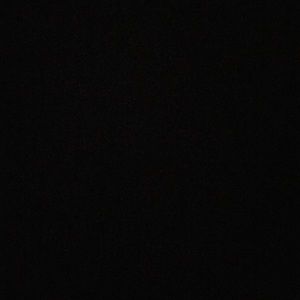 Meet your Posher, Shayla