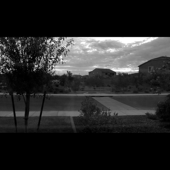 Meet your Posher, Kylie - Picture 1 of 1