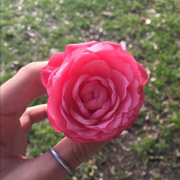 Meet your Posher, Jade