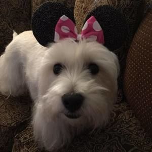 Meet your Posher, June