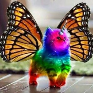 Meet your Posher, Aislinn