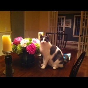 Meet your Posher, Megan