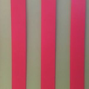 Meet your Posher, Leslie