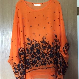 Sheer Caftan Blouse or Swim Cover Up