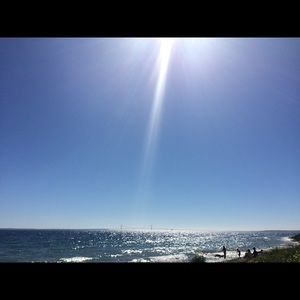 Meet your Posher, Maggie