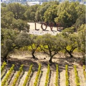 Meet your Posher, Patti