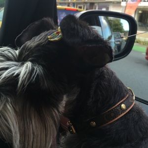 Meet your Posher, Maria