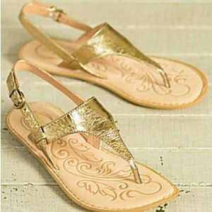 BORN Mariel Flat Thong T Strap Sandals Gold NWOT
