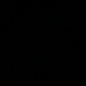 Meet your Posher, Silvia