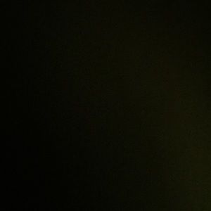 Meet your Posher, Maddie