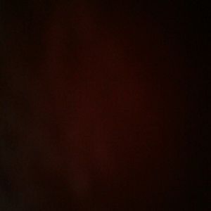 Meet your Posher, Delynn