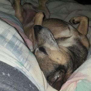 Meet your Posher, Cassie