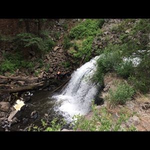 Meet your Posher, Rachael