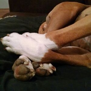 Meet your Posher, Mary