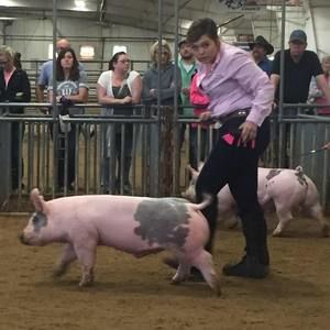 Meet your Posher, Tami