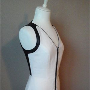 W118 Walter Baker Color Block Fit and Flare