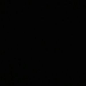 Meet your Posher, Jocelynn